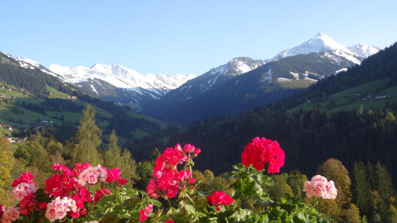 Gaestehaus Larch Alpbach Kültér fotó